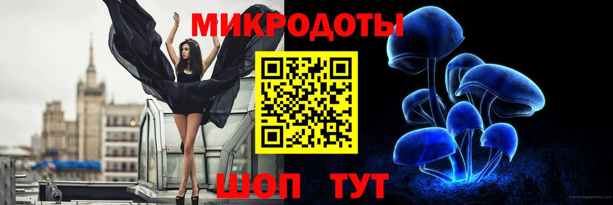Псилоцибиновые грибы мицелий Кыштым